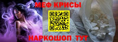 стафф Кингисепп