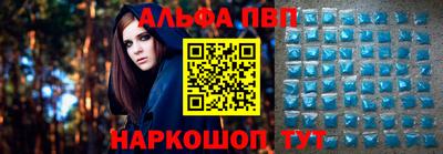 стафф Кингисепп