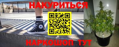 стафф Кингисепп