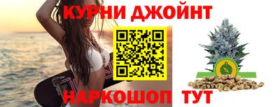 стафф Кингисепп