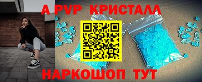 стафф Кингисепп