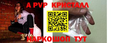 стафф Кингисепп