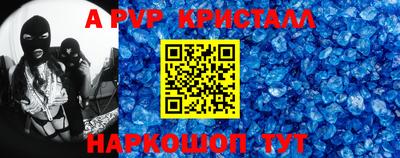 стафф Кингисепп