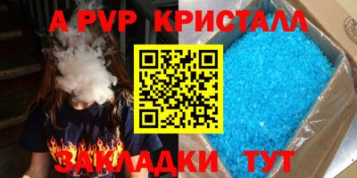 стафф Кингисепп