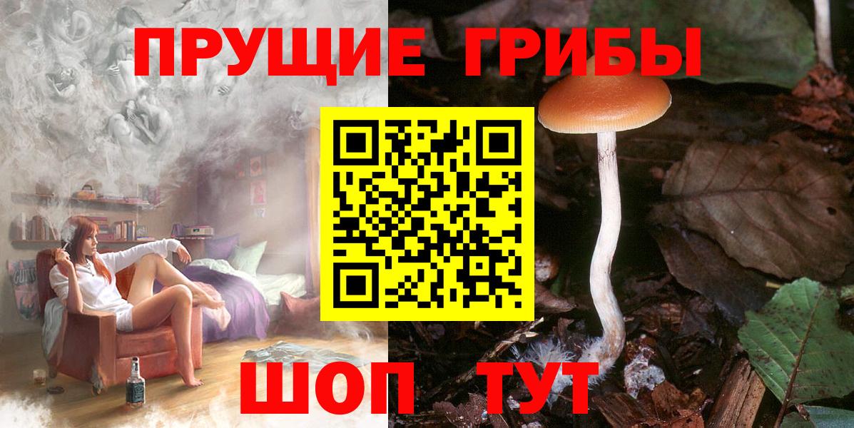Балашов  Псилоцибиновые грибы GOLDEN TEACHER  Вход с VPN 