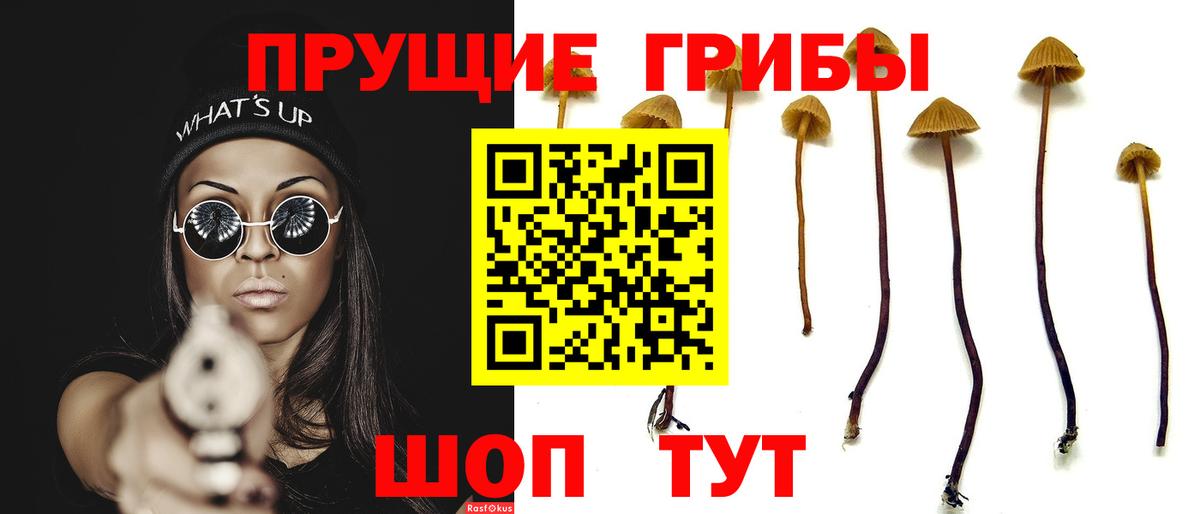 Галлюциногенные грибы мицелий Балашов